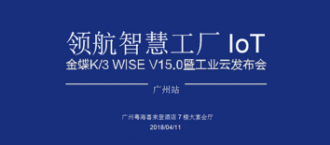 金蝶价格